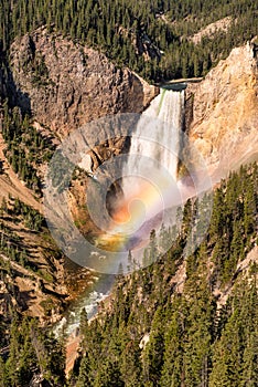 Lower Yellowstone Falls rainbow
