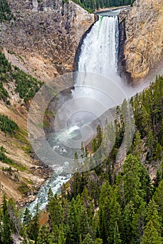 Lower Yellowstone Falls in the Yellowstone National Park