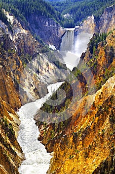 Lower Yellowstone Waterfall Falls in Canyon National Park