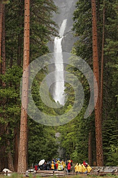 Lower Yosemite Falls