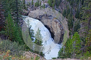 Lowers Falls - Yellowstone Canyon WY