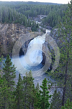 Lowers Falls - Yellowstone Canyon WY