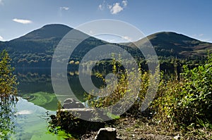 Loweswater algal bloom