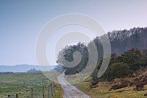 Lowland - Rebild National Park. A dirt road through lowland heath landscape Rebild National Park, Jutland, Denmark.