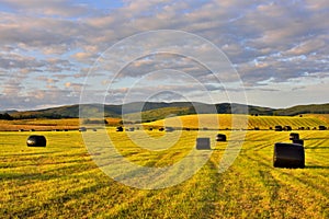 Lowland Scottish landscape