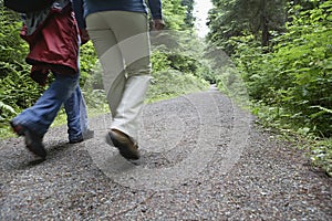 Lowsection Of Couple Walking On Forest Road photo