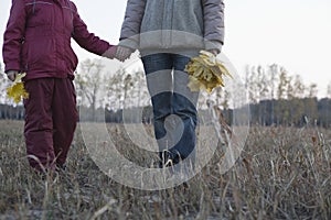 Lowsection Of Mother And Girl With Leaves In Field photo