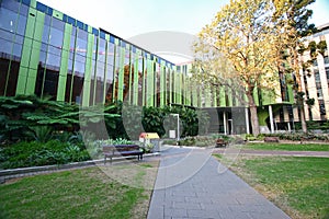 Lowy Cancer Research Centre with vertical green metal panels and glass banding on exterior facade in vegetation courtyard at UNSW
