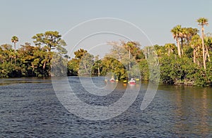 Loxahatchee Kayaking