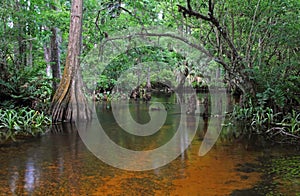 Loxahatchee River