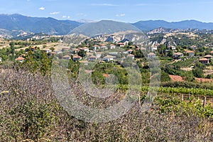 Lozenitsa Village and Vine plantations near town of Melnik, Bulgaria