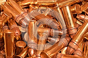 .22 LR rimfire ammunition photo