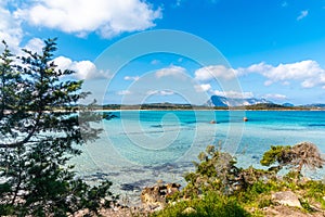 Lu Impostu beach in springtime