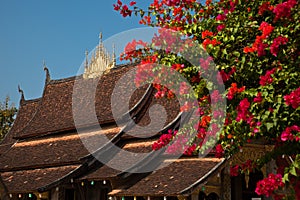 Luang prabang