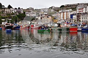 Luarca fishing harbor, Asturias, Spain photo
