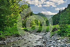 Lubochnanka creek in Lubochnianska dolina valley in Velka Fatra mountains