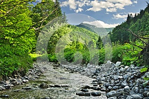 Lubochnanka creek in Lubochnianska dolina valley in Velka Fatra mountains