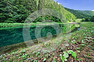 Lubochniansky tajch lake in Lubochnianska dolina valley in Velka Fatra mountains