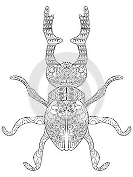 Lucanus cervus Coloring vector for adults