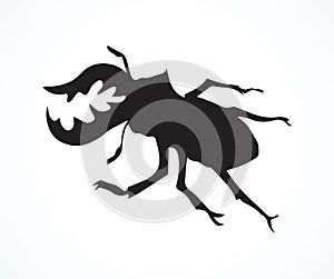 Lucanus cervus. Vector drawing photo