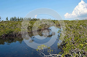 Lucayan National Park