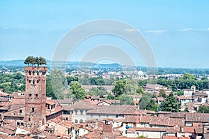Lucca, aerial panoramic view photo