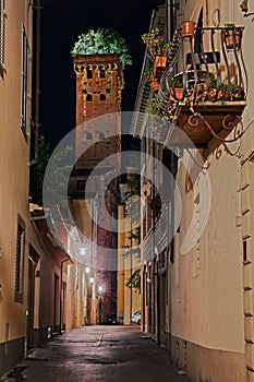 Lucca, Tuscany, Italy: night view of the medieval Guinigi Tower, with the trees holm oaks on top, from a narrow alley in the old