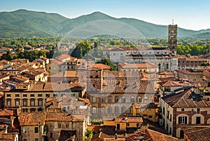 Lucca (Tuscany Italy) panorama