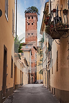 Lucca, Tuscany, Italy: view of the medieval Guinigi Tower, with the trees holm oaks on top, from a narrow alley in the old town