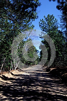 Luce County Road 407 in Michigan  37292