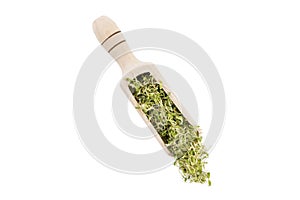 Lucerne alfalfa sprouts in wooden scoop isolated on white background. nutrition. bio. natural food ingredient