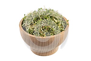 Lucerne alfalfa in wooden bowl isolated on white background. nutrition. food ingredient