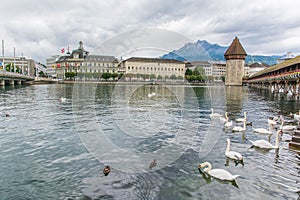 Lucerne Switzerland with wooden Chapel Bridge and swans