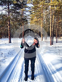 Lucidity forest, winter