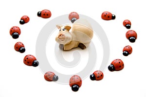 Luck pig with ladybug