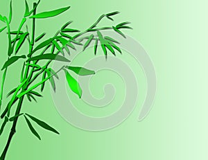 Lucky bamboo background