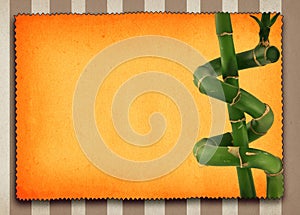 Lucky bamboo background