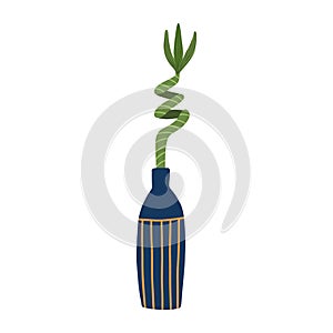 Lucky bamboo in glass vase. Modern and elegant home decor. Green natural decor for home and interior. Vector