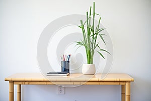 a lucky bamboo plant on a minimalist office desk