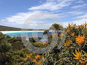 Lucky bay