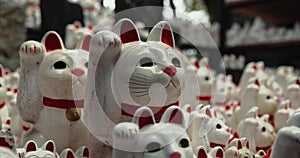 Lucky cat, religion and Shinto shrine in nature, trees and forest with wish, faith or culture environment. Animal, toys
