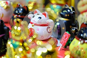 Lucky cat is symbol good luck