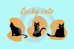 Lucky cats. Black fur kittens. Cute cartoon domestic animals. Veterinary poster. Fluffy pussycats. Phrase calligraphic photo