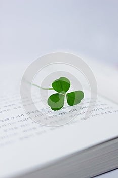 Lucky clover