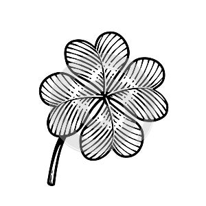 Lucky four-leaf clover in vintage engraving style.