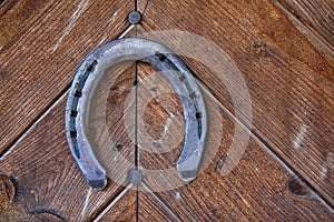 Lucky horseshoe