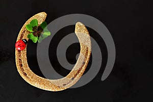 Lucky horseshoe with shamrock and ladybug