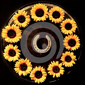 Lucky horseshoe with sunflowers