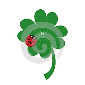 Lucky leaf with ladybug logo. isolate