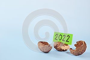 Lucky New year 2022 sign of hope and new life concept. Hope growing on emerging seed in blue background.